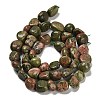 Natural Unakite Beads Strands G-P497-01E-48-3