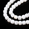 Natural White Shell Beads Strands SSHEL-N038-60-3