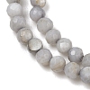 Natural Freshwater Shell Dyed Beads Strands SHEL-R100-12A-04-3