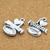 Tibetan Style Alloy Pendants RUFO-PW0001-005AS-2