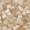 MIYUKI TILA Beads SEED-JP0008-TL2593-2