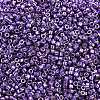 MIYUKI Delica Beads X-SEED-J020-DB2509-2