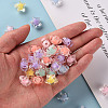 Transparent Acrylic Beads LS-X-TACR-S152-02A-5