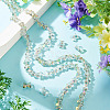 Electroplate Transparent Glass Beads Strands GLAA-TAC0028-009D-4