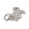 Brass Micro Pave Cubic Zirconia Charms KK-E077-02P-05-3