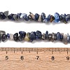 Natural Sodalite Chips Beads Strands LS-F024-7
