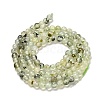 Natural Prehnite Beads Strands G-B107-E01-02-3