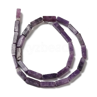 Natural Lepidolite/Purple Mica Stone Beads Strands G-E612-C05-A-1