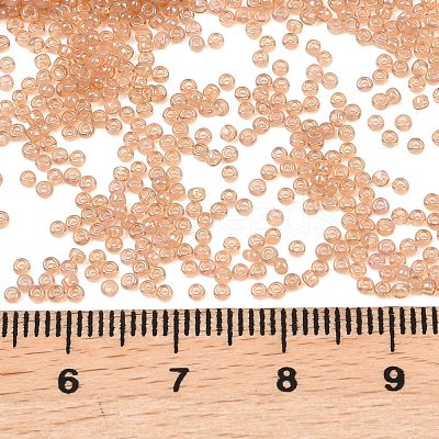 MIYUKI Round Rocailles Beads X-SEED-G009-RR2371-1