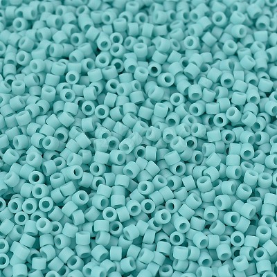 MIYUKI Delica Beads X-SEED-J020-DB1586-1