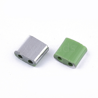 FGB 2-Hole Glass Seed Beads SEED-S031-L-047-K-1