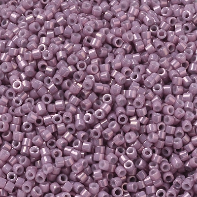 MIYUKI Delica Beads Small SEED-X0054-DBS0253-1