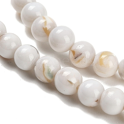 Assembled Synthetic Stone and Trochus Shell Beads Strands G-B128-08A-01-1