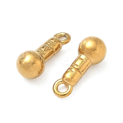 304 Stainless Steel Charms STAS-P439-01A-G-1