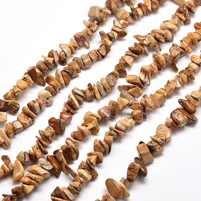 Natural Picture Jasper Chip Bead Strands G-M205-31-1