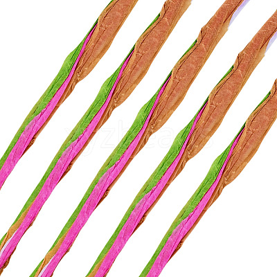 Raffia Twine Yarn OCOR-TAC0025-009B-1