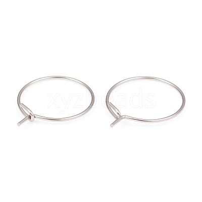 316L Surgical Stainless Steel Hoop Earring Findings STAS-G229-06P-1