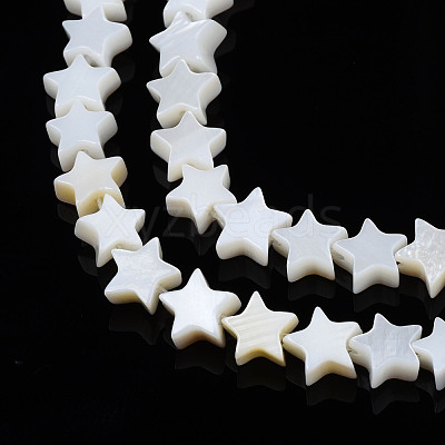 Natural Freshwater Shell Beads Strands SHEL-S278-01A-01-1