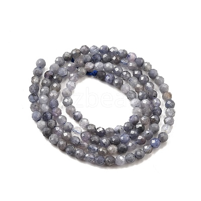 Natural Tanzanite Beads Strands G-S387-A01-3mm-1