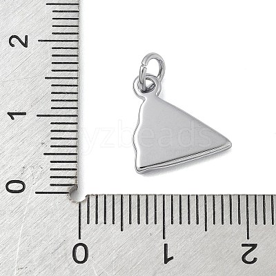 304 Stainless Steel Charms STAS-M120-02B-P-1