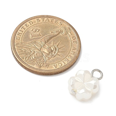 10Pcs 2 Colors Plastic Pearl Charms PALLOY-JF04027-1