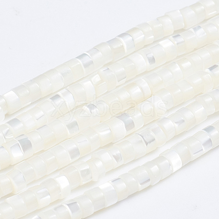 Natural Trochid Shell/Trochus Shell Beads Strands SSHEL-L016-13A-1