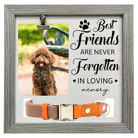 MDF Pet Photo Frames DIY-WH0525-011-1