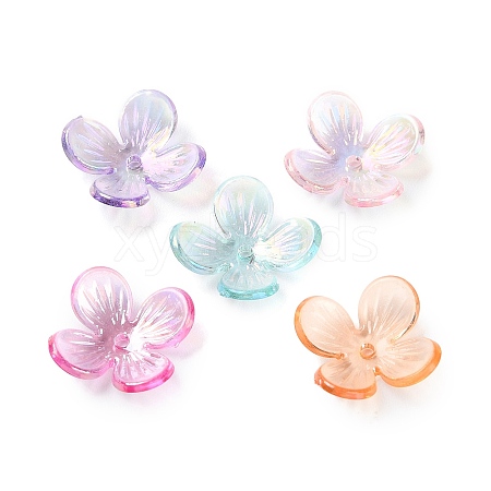 Transparent Acrylic Beads Caps SACR-A006-11-1