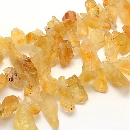 Rough Raw Natural Citrine Beads Strands G-K202-17C-1