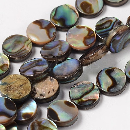 Natural Abalone Shell/Paua Shell Beads Strands SHS014-01-1