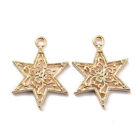 Zinc Alloy Pendants X-FIND-I017-01G-1