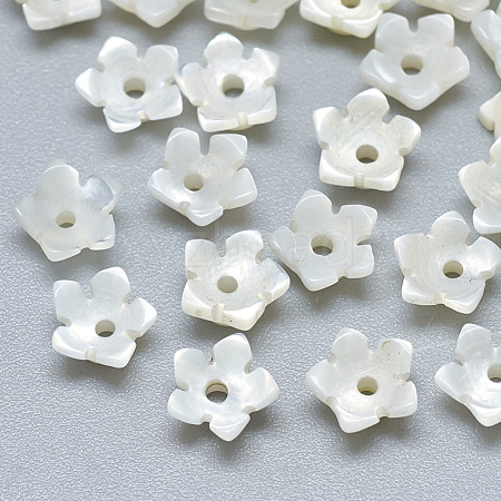 Natural White Shell Beads SSHEL-S260-014-1