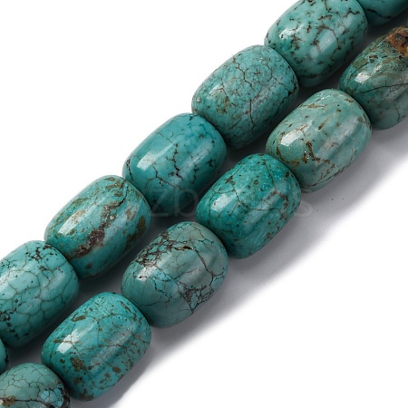 Natural Howlite Beads Strands G-F783-H05-01-1