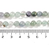 Natural Fluorite Beads Strands G-P530-B04-02-5