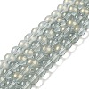 Glass Bead Strands GLAA-K068-01C-05-1