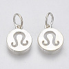 925 Sterling Silver Charms STER-T002-44S-09-3