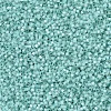 MIYUKI Delica Beads SEED-X0054-DB0626-3