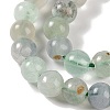 Natural Fluorite Beads Strands G-P530-B04-02-3