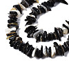 Natural Black Lip Shell Beads Strands SSHEL-S266-010-3