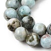 Natural Larimar Beads Strands GG-CBA19D6-A01-8mm-4