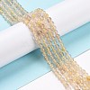 Natural Gold Rutilated Quartz Beads Strands G-C009-C04-2