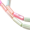 Rainbow Color Dyed Natural Freshwater Shell Beads Strands SHEL-G018-02B-3