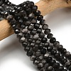 Natural Eagle Eye Stone Beads Strands G-Z111-A11-01-1