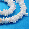 Natural Sea Shell Chips Beads Strands BSHE-Q024-02-3