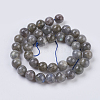 Natural Labradorite Beads Strands G-G212-10mm-23-2