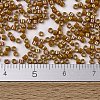 MIYUKI Delica Beads SEED-X0054-DB2273-4
