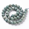 Natural Amazonite Beads Strands G-S333-10mm-005-2