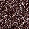 TOHO Round Seed Beads SEED-XTR11-1850-2