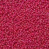 MIYUKI Round Rocailles Beads SEED-X0054-RR0476-3