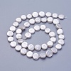 Shell Pearl Beads Strands BSHE-P030-01A-1